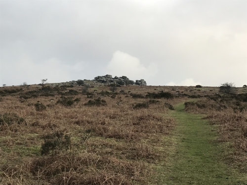 Short Winter Walk to Pew Tor