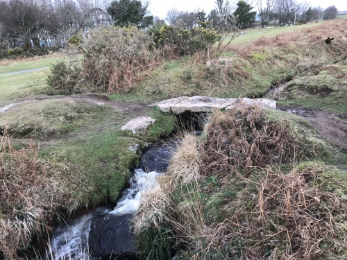 Short Winter Walk to Pew Tor