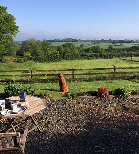 Our dog Moose enjoying the view at Monkstone Cottage